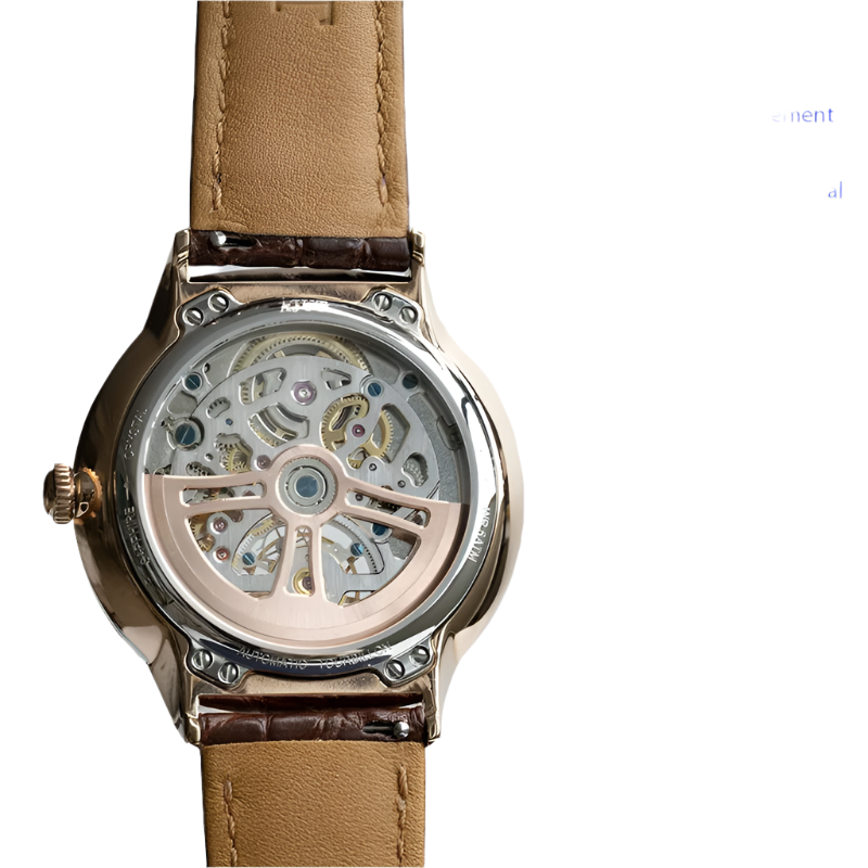 Automatic Tourbillon Mechanical Women'S Wristwatch Pearl Shell Art Painting Craft Sapphire Watches for Women TAL0345